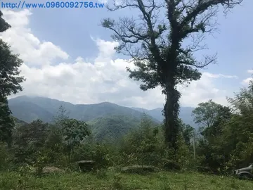 新竹土地 - 尖石高山景觀地1467p